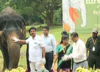 Nandankanan Observes World Elephant Day With Awareness Programmes