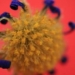 Chandipura Virus