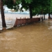 Jharkhand Rivers