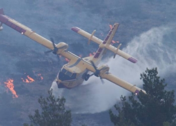 Wildfire