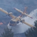 Wildfire