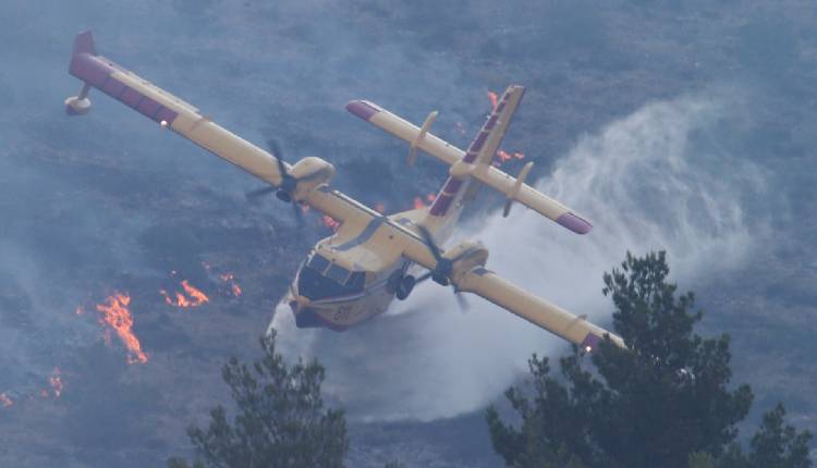 Wildfire