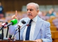 PM Shehbaz Sharif