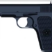 Pistol
