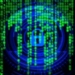 cyber crime