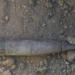 Live Mortar Shell