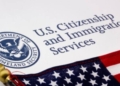 H-1B Visas