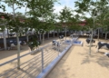 BMC Plans Rehab Centre For 2,200 Cattle