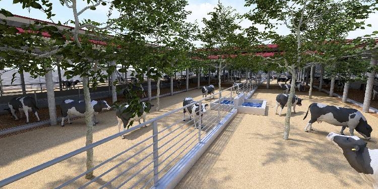 BMC Plans Rehab Centre For 2,200 Cattle