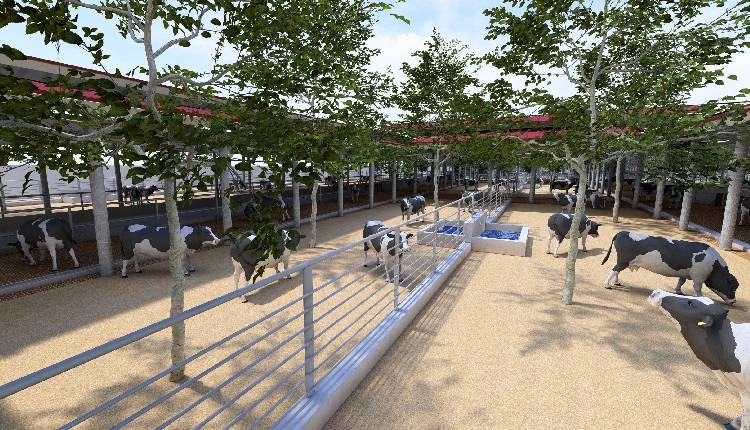 BMC Plans Rehab Centre For 2,200 Cattle