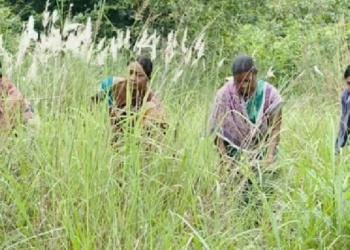 Odisha woman Maithili Bhue