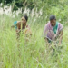 Odisha woman Maithili Bhue