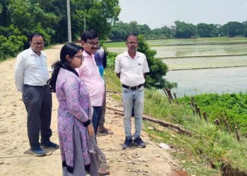 Restoration Of Flood-Damaged