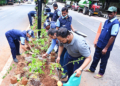 BMC Plants 300 Bougainvillea Along 1.27-km Median Stretch