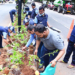 BMC Plants 300 Bougainvillea Along 1.27-km Median Stretch