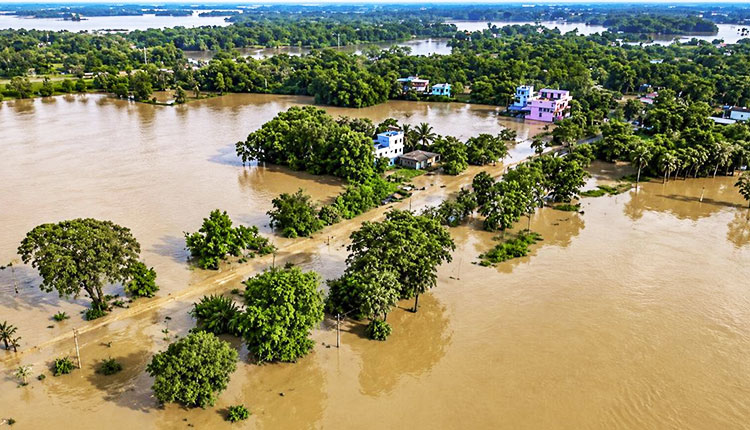 Flood