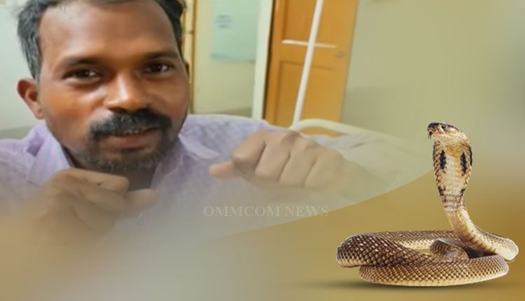 Man Bites Cobra In Jharsuguda