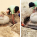 Temple Resurfaces On Ganjam Coast