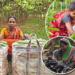 Mayurbhanj Women Show How Collective Farming Can Boost Rural Incomes