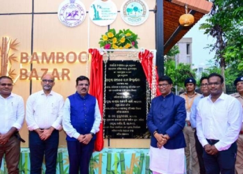 World Bamboo Day 2026