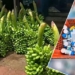Banana Warehouse Raided - Bhubaneswar