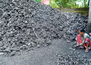 Coal