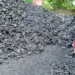 Coal