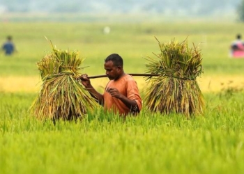Agricultural