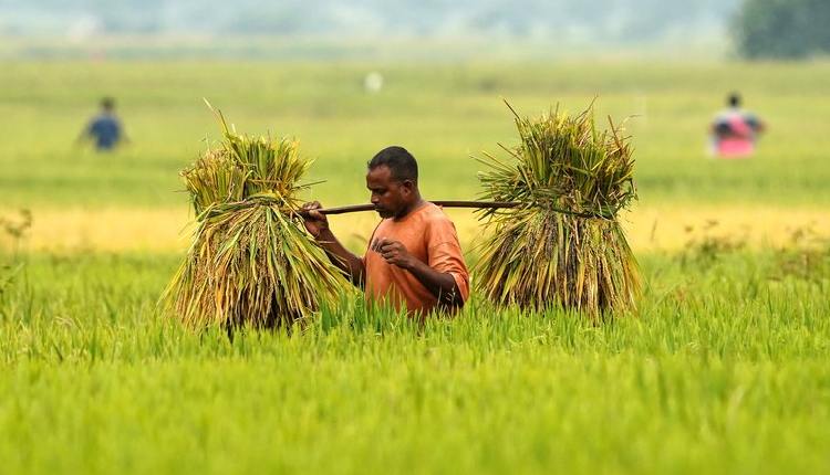 Agricultural