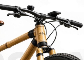 Bamboo Bicycle