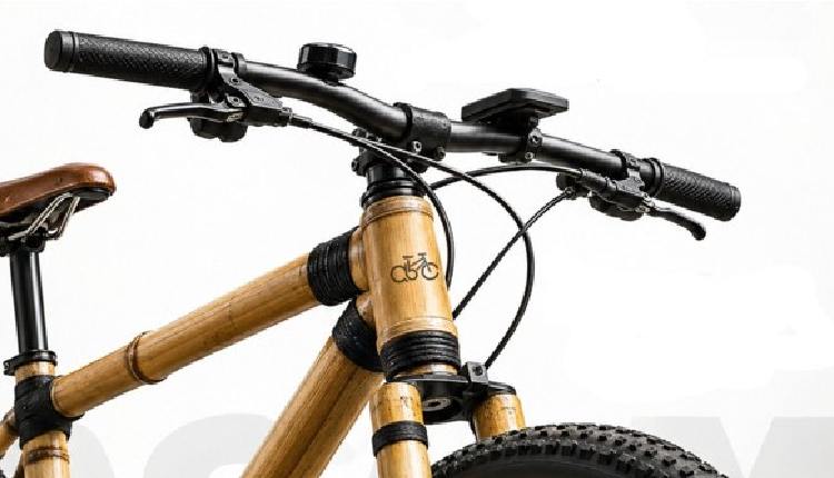 Bamboo Bicycle