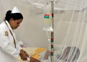 Dengue Deaths
