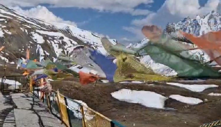 Gangotri-Gaumukh Trek Tragedy