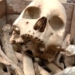 Human Skeleton