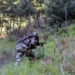 encounter