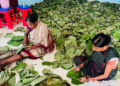 From Leaves To Livelihood: Nuapada Women Embrace Eco-Friendly Enterprise