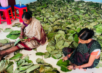 From Leaves To Livelihood: Nuapada Women Embrace Eco-Friendly Enterprise