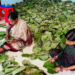 From Leaves To Livelihood: Nuapada Women Embrace Eco-Friendly Enterprise