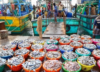 Odisha Seafood Exports