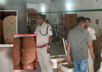 Ganja Packed In Fish Boxes Seized From Courier Office In Kalahandi
