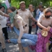 Protest