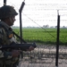 BSF