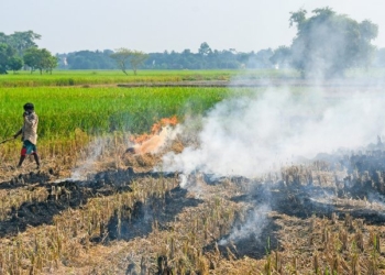 agricultural fields