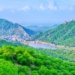 Aravalli Conservation