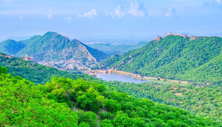 Aravalli Conservation