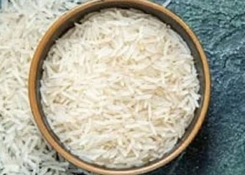 Rice
