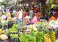 Fruit Market