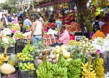Fruit Market