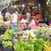 Fruit Market
