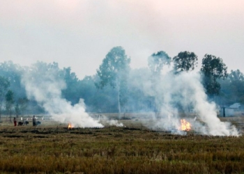Stubble Burning